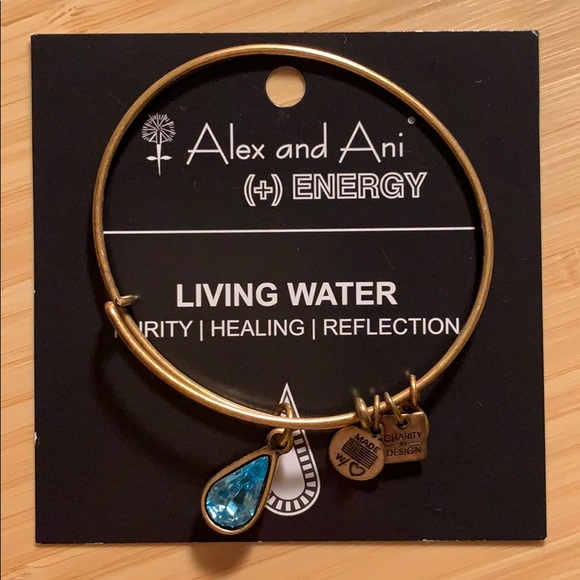 Alex and Ani Jewelry - Alex and Ani Bracelet